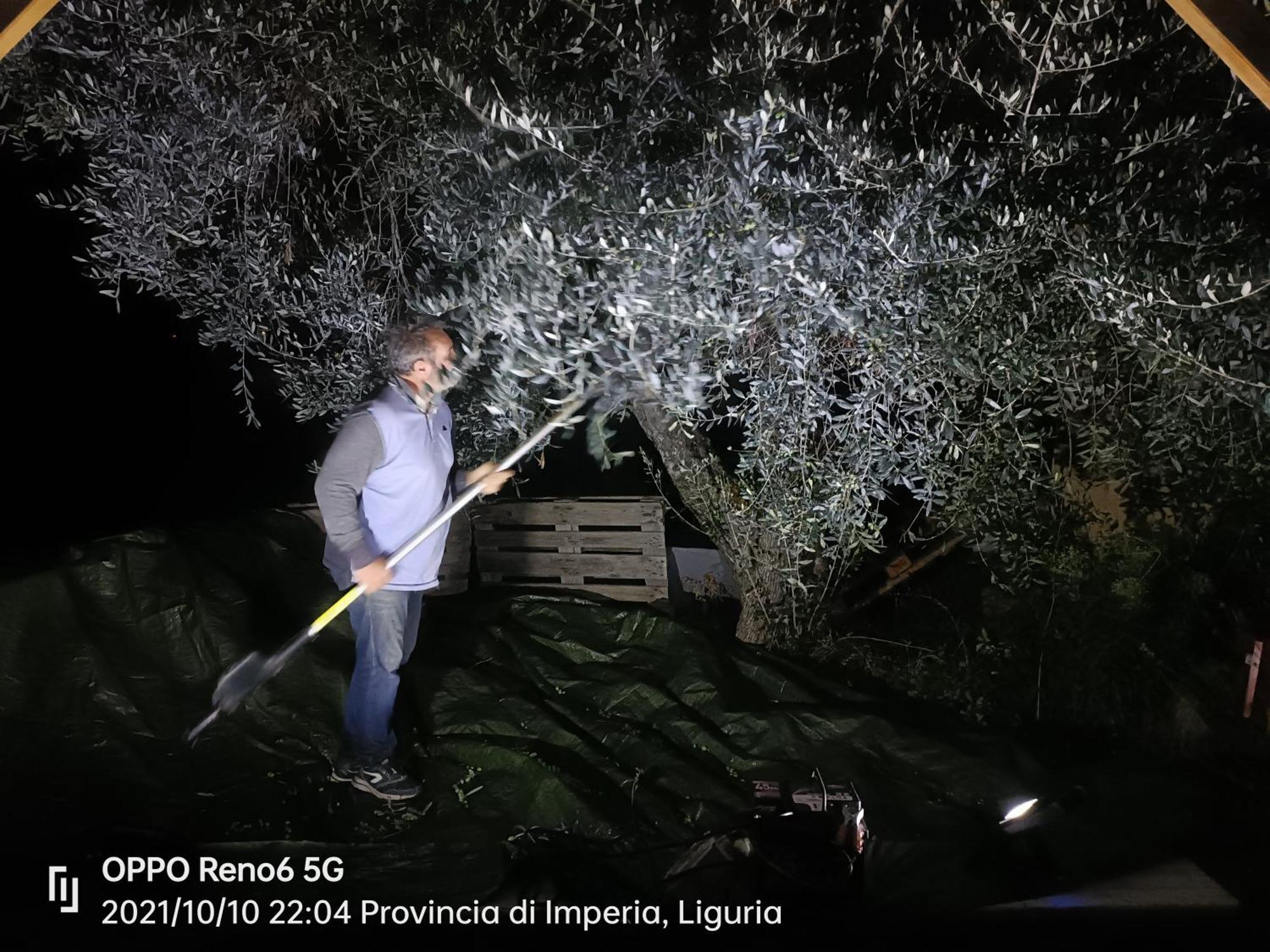 Agriturismo Monaci Templari Seborga Bagian luar foto