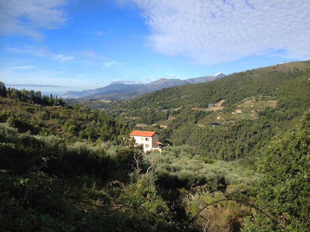 Agriturismo Monaci Templari Seborga Bagian luar foto